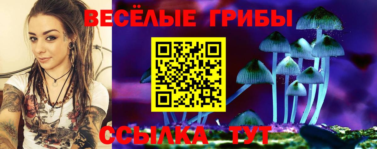 Медногорск  Галлюциногенные грибы MAGIC MUSHROOMS  наркотики  Галлюциногенные грибы Psilocybe  Вход с VPN 